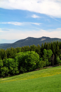 舒马瓦山国家公园捷克共和国