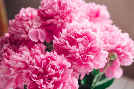 粉彩花卉图案的壁纸,从花瓣背景照片