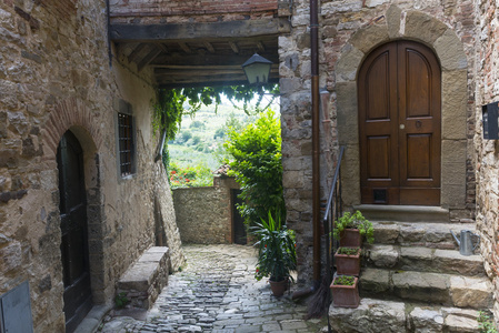 Monte FioralleChianti Tuscany