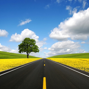 前进的道路照片