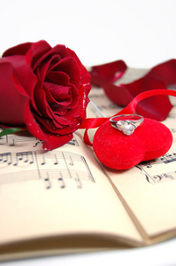 红玫瑰和花瓣在音乐片与织物心