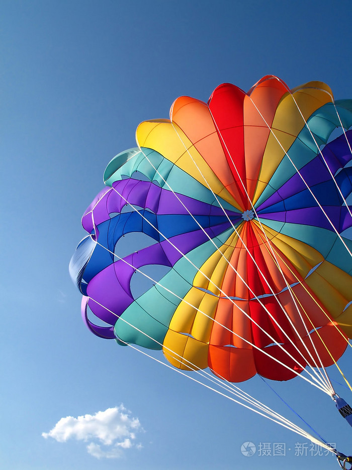 降落伞 降落伞状物 [植]风散种子