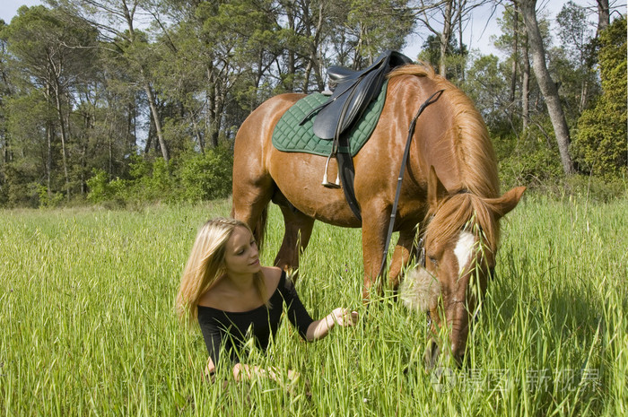 金发女孩和她的种马