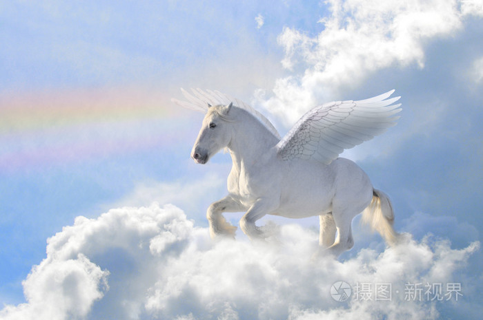 云中的飞马