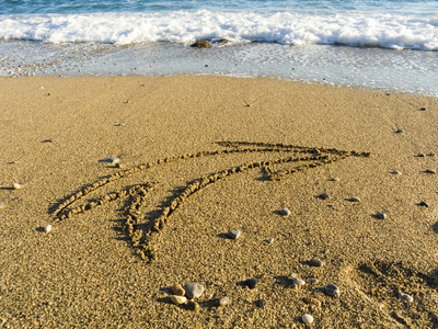 湿海沙箭