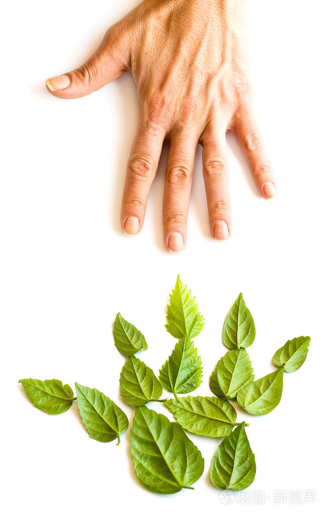 生手,没有经验的人