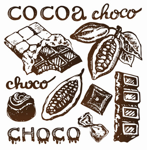 可可矢量可可产品手的素描画的涂鸦食品巧克力甜图纯素巧克力涂鸦贴纸