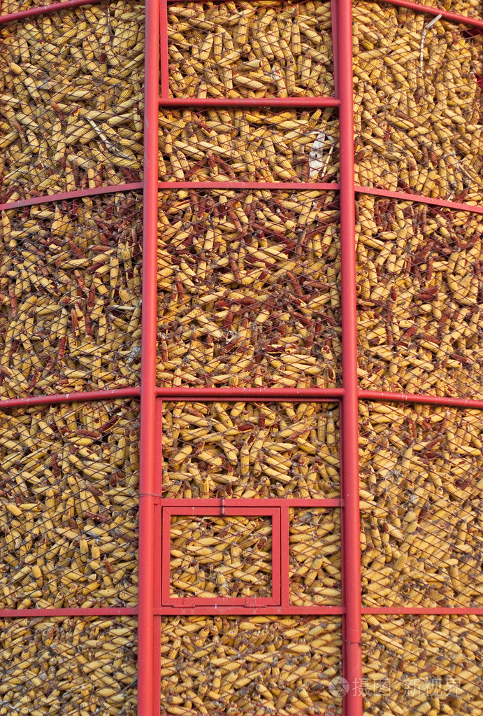 玉米储存jpg