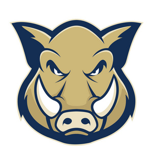 卡通野猪体育吉祥物字符野猪头吉祥物猪头卡通吉祥物人物中国十二生肖