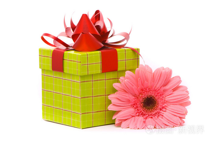 粉红色格伯花和礼品盒