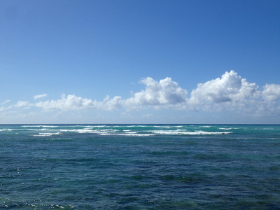 浅浅的波浪海水域的马纳洛湾望着公民信息总署