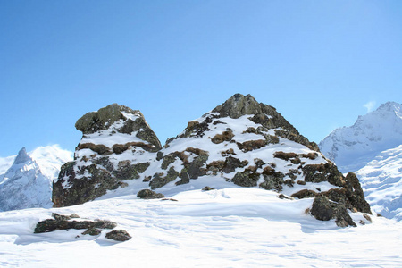 高加索山区岩石骆驼