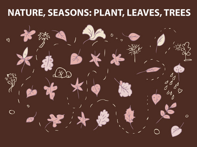 自然季节植物叶子图片