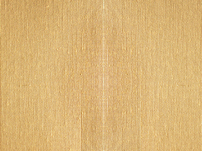 优质油画布照片