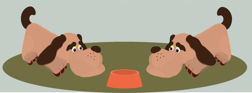 狗蹩脚货丑女人卑鄙小人