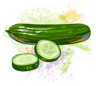 素描集黄瓜蔬菜矢量图手绘绘卡与蔬菜和香料素描有机蔬菜食品横幅.