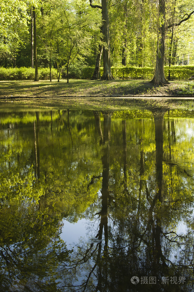 阳光明媚的春天公园里的池塘