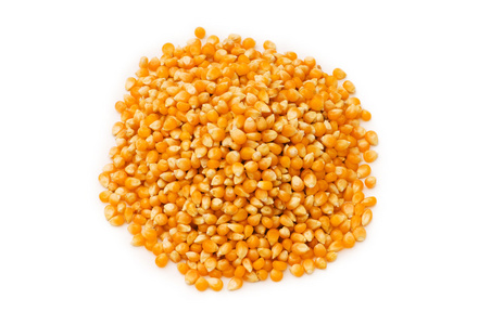 玉米种子分离图片