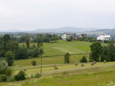 农业村景观