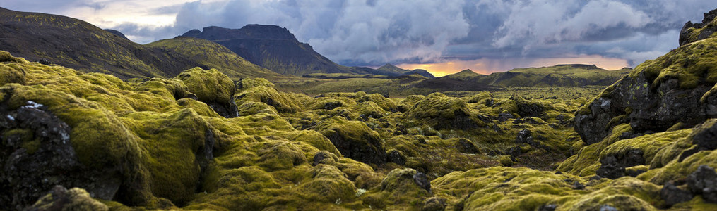 长满了毛茸茸苔藓在日落时在冰岛的超现实景观