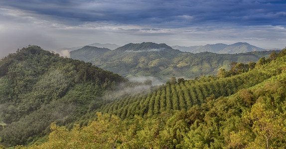 山风景