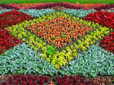 花坛 花池子照片