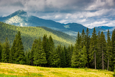 喀尔巴阡山风景