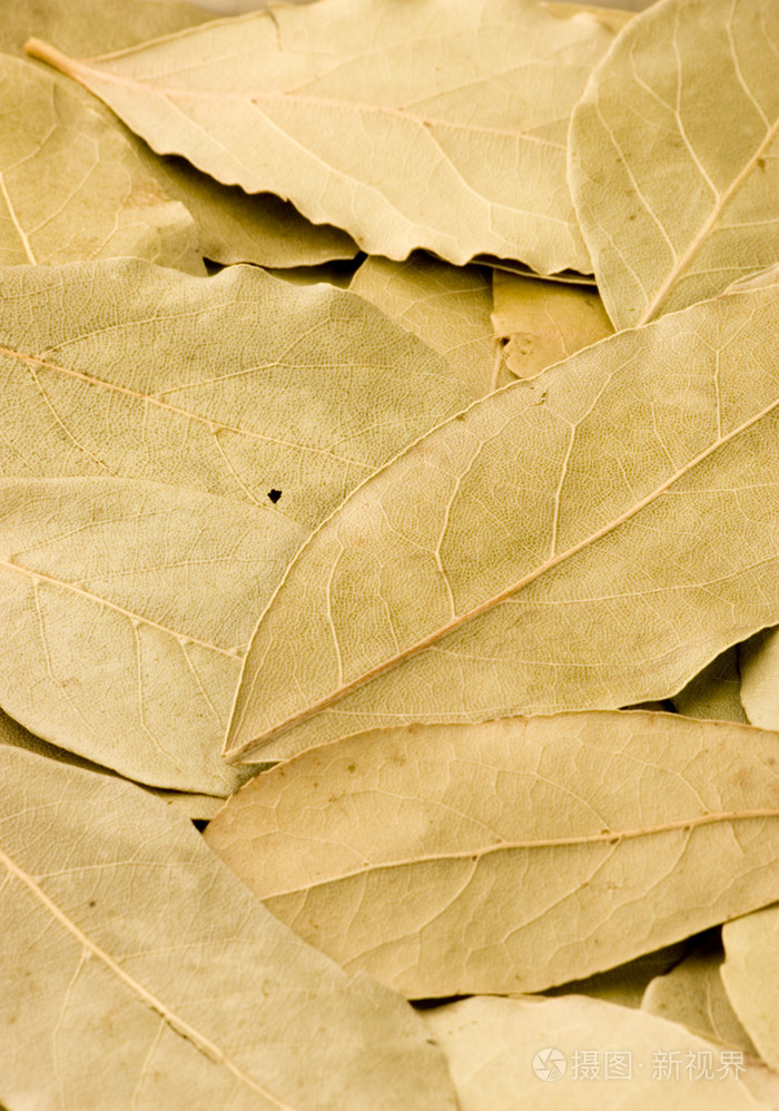 月桂树叶bayleaf的名词复数