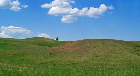 带山的夏季景观