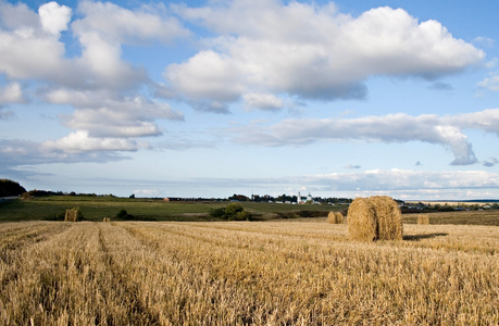 收获的成果图片-收获的成果素材-收获的成果插画-摄图新视界