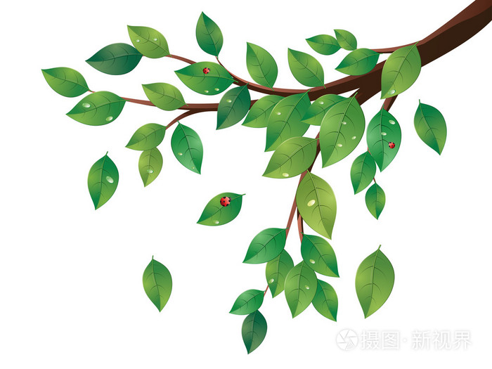 绿色叶子的树枝插画-正版商用图片00i5zc-摄图新视界