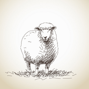 羊的剪影图片