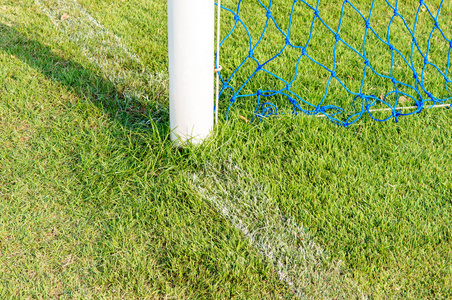 关于绿色草田的回线足球目标