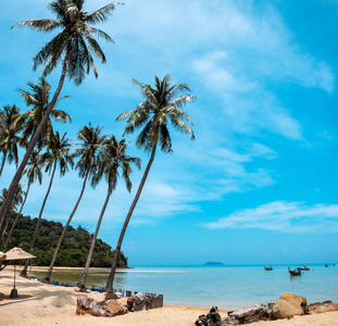 棕榈和热带海滩皮皮岛泰国