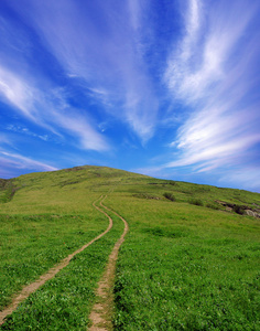 夏季景观