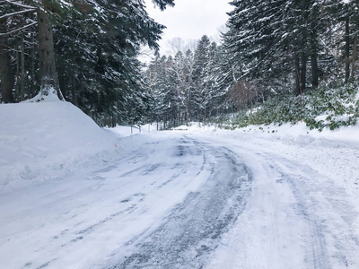 小组在雪霜云杉树