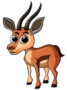 白色背景上的小羚羊照片