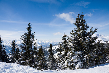 山区的冬季森林。