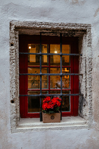 老石房子窗户装饰着五颜六色的矮牵牛花朵在中世纪老城的塔林，爱沙尼亚