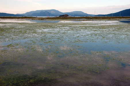 咸水湖