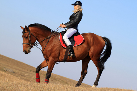 女骑马者,女骑手照片