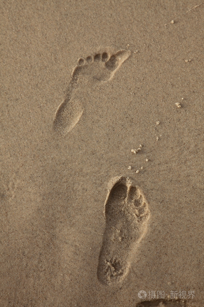 脚步(声),一步的距离,足迹 脚步(声)( footstep