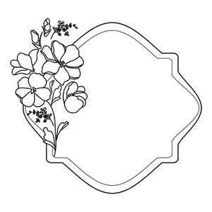 具有植物元素和文本区域的装饰元素.带花的标签或小插图照片