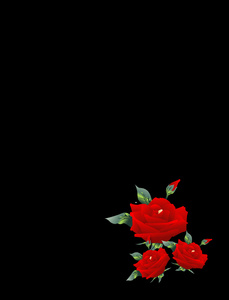 三朵玫瑰的插图图片