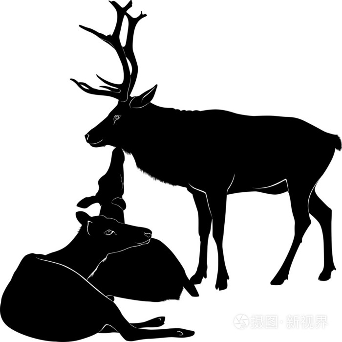鹿黑色剪影