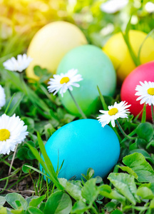 彩色的复活节蛋在绿色草地上