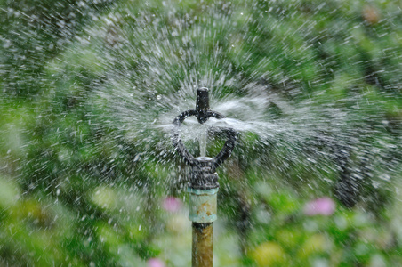 喷水花自动喷水灭火喷洒在公共的花朵照片