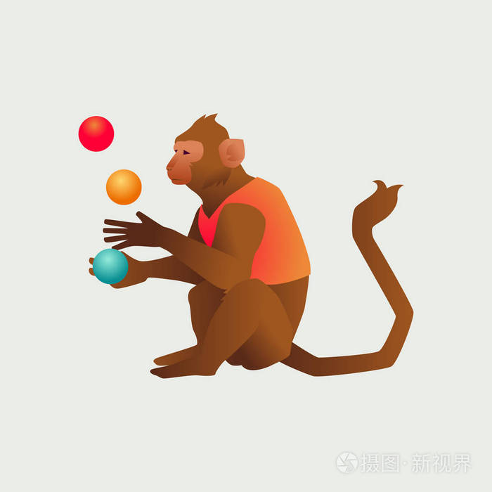 渐变样式马戏团训练上浅灰色孤立的野生动物性能猴子变戏法