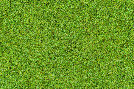 美丽的绿草模式从高尔夫球场