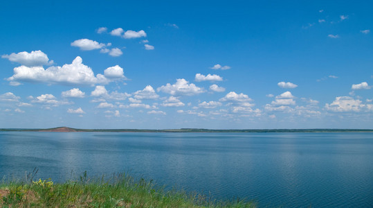 夏季景观